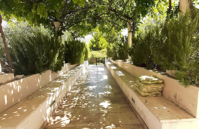 Apartments Trstenica - Foto 1