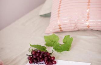 Qualys Vignoble parking, square view, close to city - Foto 17