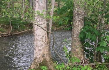 Serenity Views Retreat - Close to City and Parkway! - Foto 45