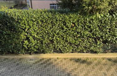 Modern 90sqm Apt - Ideal Base for Parma & Modena - Foto 42