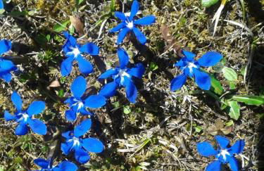 Landhaus Bellecôte - Foto 38