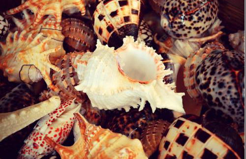 Lovely Estrela Vau Apt - Swimming pool view - Foto 23