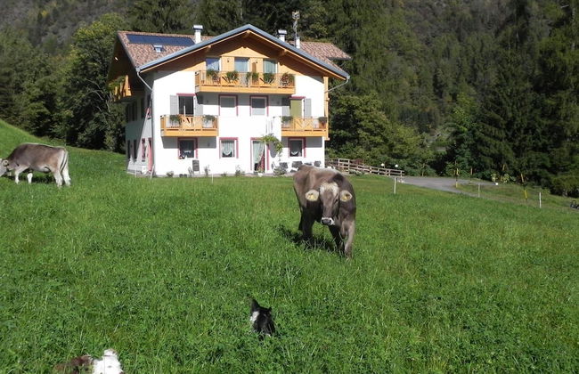 Agritur Sole Levante - Foto 45