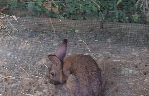 Dimorra Country House - Foto 35