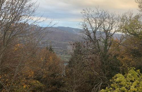 Appartement du bois des Fugiers - Foto 23