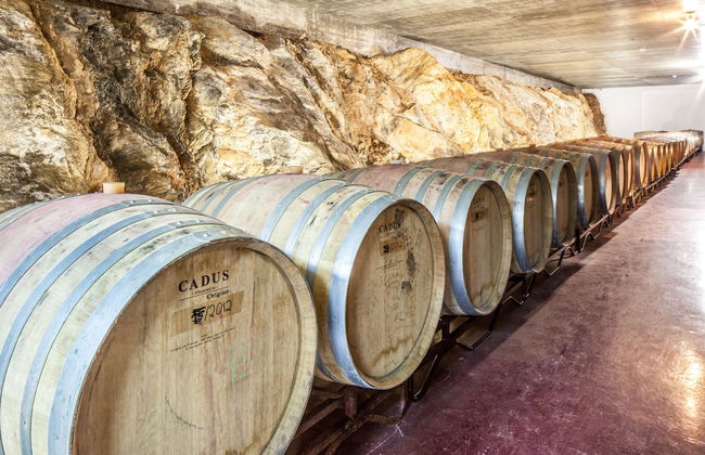 Monte da Esperança - Photo 26