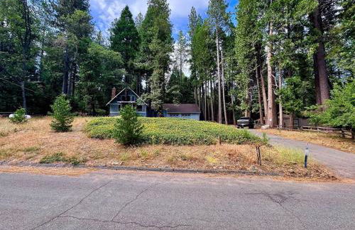 Cabin in the Trees-Game Room - Foto 57