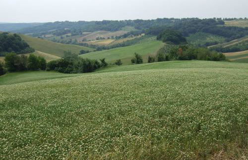 Predio Potantino - Foto 18