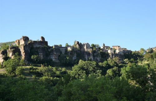 Gîte Lou Clapas dans village perché du Parc des Grands Causses - Photo 10