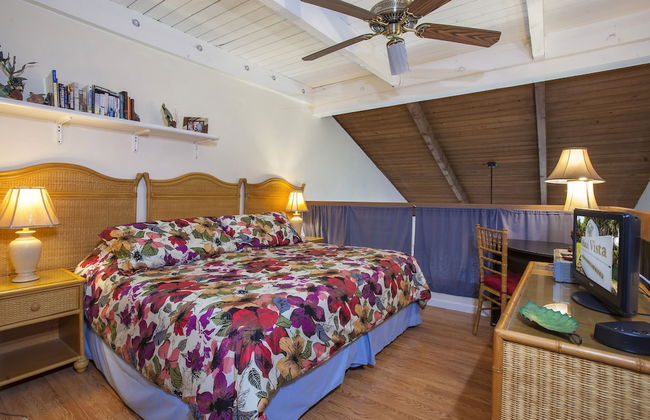 Maui Vista – Maui Condo & Home - Photo 4