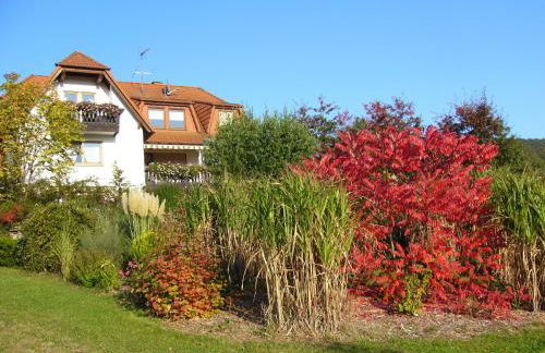 Pension Höchemer - Foto 42