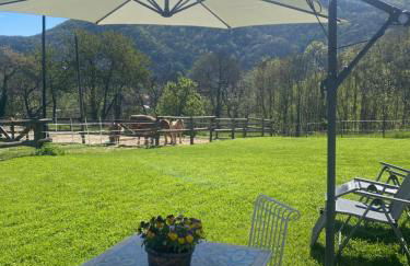 Ranch Enbrucà - Foto 68