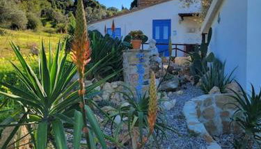 Appartamento Origano - Foto 3