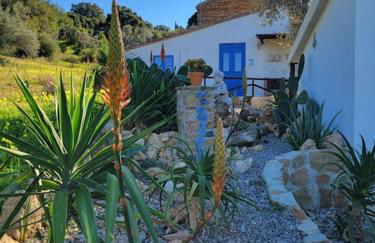 Appartamento Origano - Foto 3