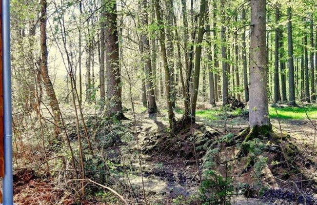 Cozy Holiday Home in Oignies-en-Thiérache near Forest - Foto 25