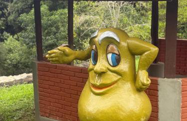 Casa de campo em São Roque - Sítio Beija Flor - Foto 55