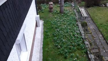 Haus Jahn - Foto 5, Garden view