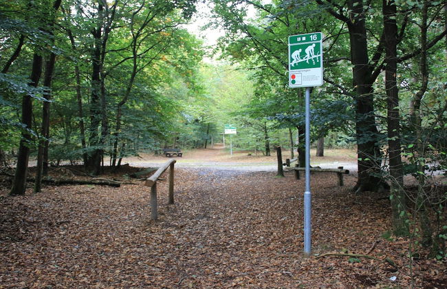 Uden Chalet With Scenic Terrace - Foto 44