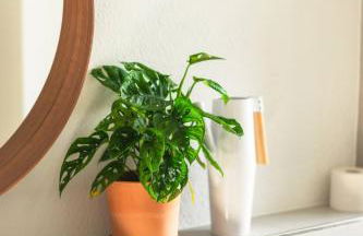 Zentrumsnahe 2-Zimmer Wohnung mit privatem Parkplatz und Balkon - Foto 14