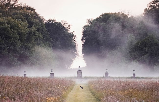 Château de Bonnemare - Foto 37