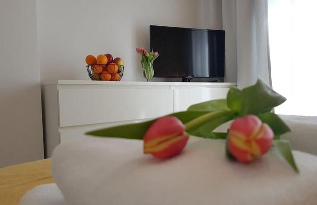 Apartamenty Szafirowa Mierzeja - 365PAM - Foto 17