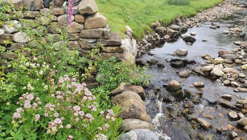 3 Bed in Horton-in-Ribblesdale oc-ds933 - Foto 5, Other