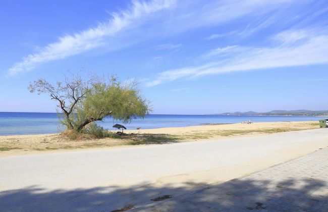 Eva's Houses - Foto 21