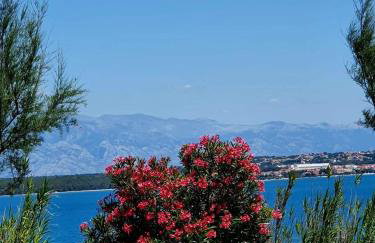 New family apartments Franka, Sabunike - Photo 23