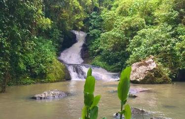 Casa Centenária com 20 min de Gramado - Foto 22