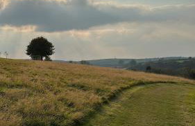 Perfect Cornish Getaway - Foto 19