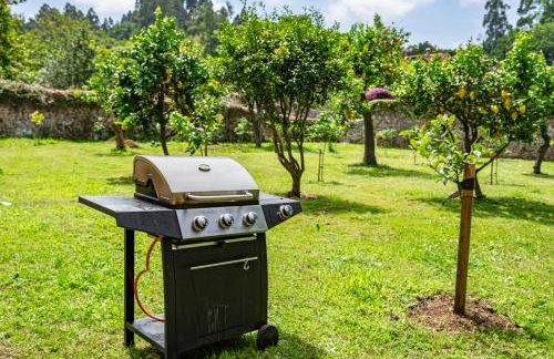 La Casuca del Músico - Foto 27