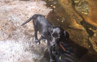 Casinha Ponte Nova - Foto 37