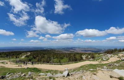 ****FH Blauvogel 60 Harz - Foto 33