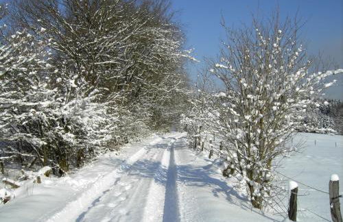 Stöltings Landhaus - Foto 44
