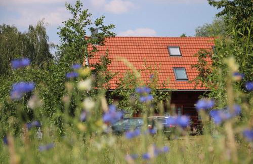 Liljas Haus im Spreewald - Foto 64