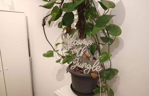 Jungle in Kelkheim for 4 Persons 24 h check in - Photo 33