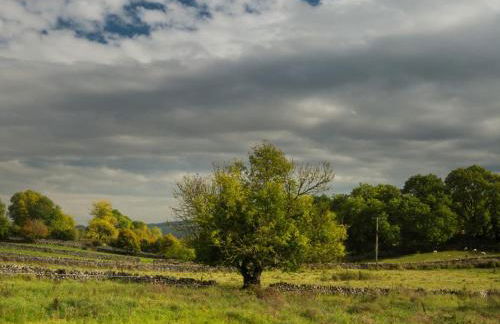 1 Bed in Monyash oc-pk760 - Foto 17