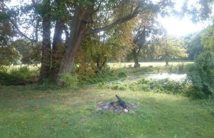 Gutshaus am Nationalpark Unteres Odertal - Foto 7