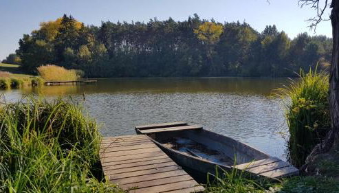 Stawy u Sikory - Dom Rybak - Agroturystyka i łowisko - Foto 5