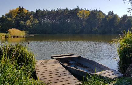 Stawy u Sikory - Dom Rybak - Agroturystyka i łowisko - Foto 5