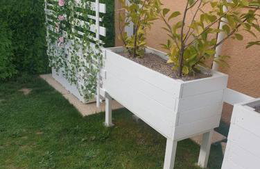 Shorty House - Foto 11