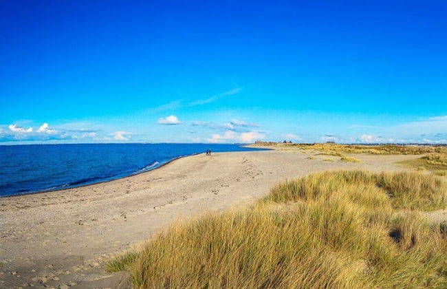 Holiday Apartment Strandgut 16.1 - Foto 8