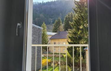 Appartement T3 60m2 calme - Foto 11