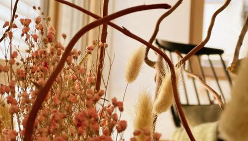 Das grüne Haus - Lörrach - Foto 4