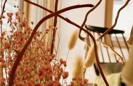 Das grüne Haus - Lörrach - Foto 4