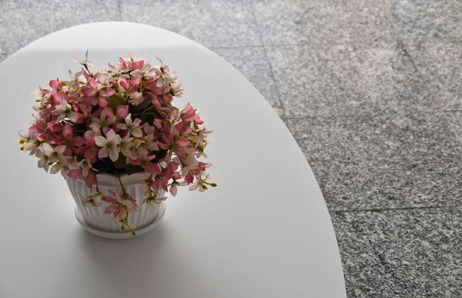 SEAFLATS - Iracema Résidence - Foto 26