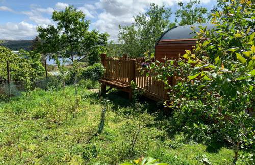 Suilven view - Foto 15