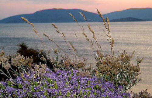 Villla Giallo - Photo 7