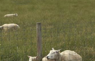 Holiday Home Jadeglück by Interhome - Foto 36