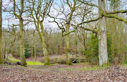 Treeview Lodge - Photo 24